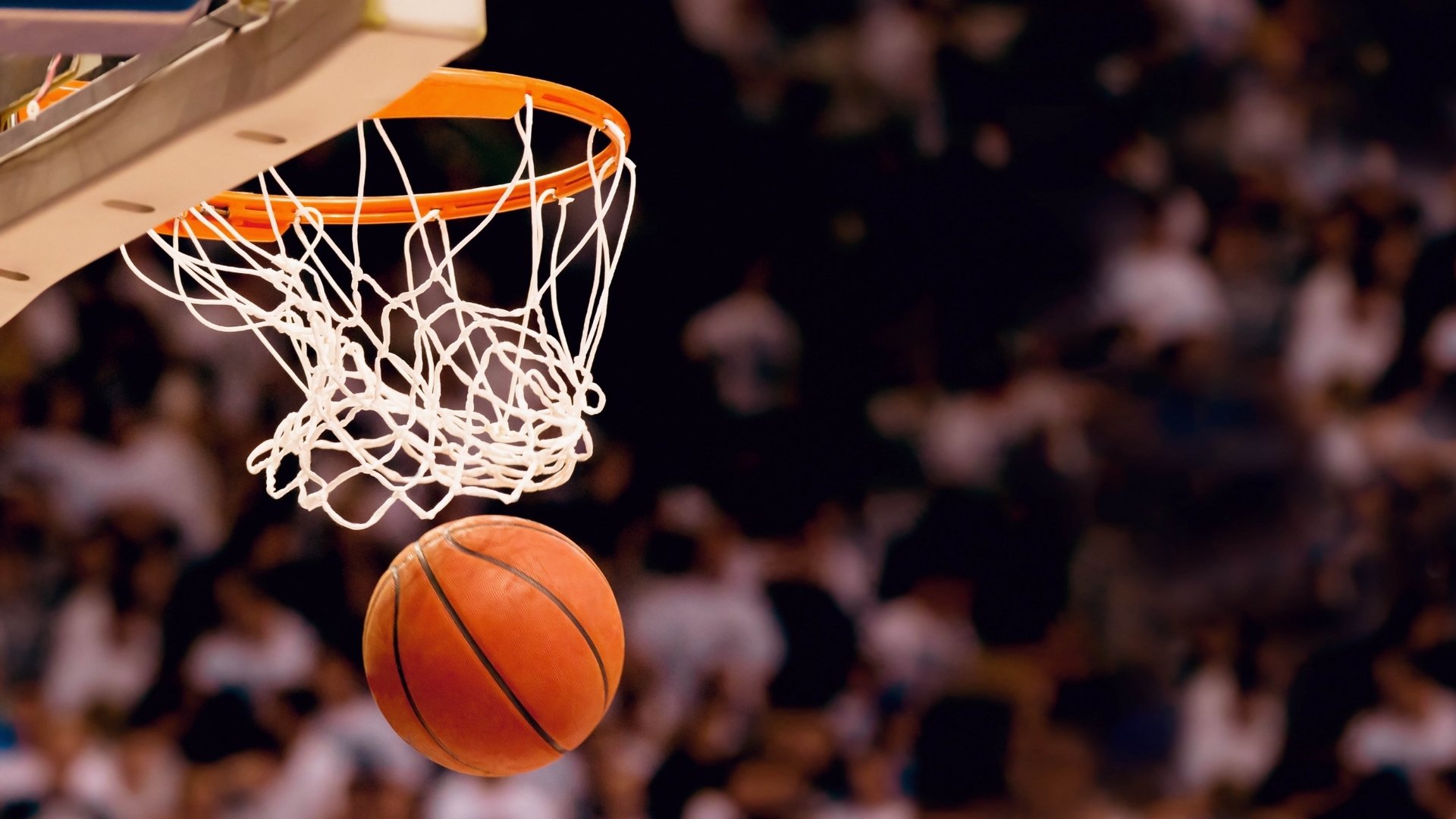 冠军热门球队战术板深度解析,nba各队战术板